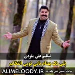 پلی بک بهنام بانی تویی انتخابم