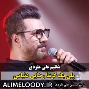 پلی بک گرشا رضایی دنیامی