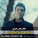 پلی بک گرشا رضایی نرو