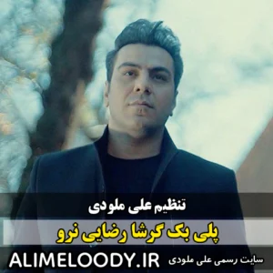 پلی بک گرشا رضایی نرو