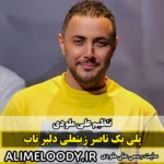 پلی بک ناصر زینعلی دلبر ناب