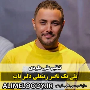 پلی بک ناصر زینعلی دلبر ناب