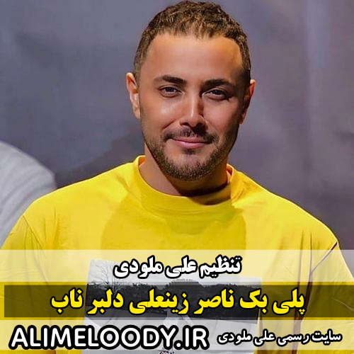 پلی بک ناصر زینعلی دلبر ناب