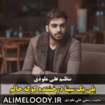 پلی بک سینا درخشنده کوکه حالم