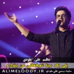 پلی بک سینا شعبانخانی من بیقرارم